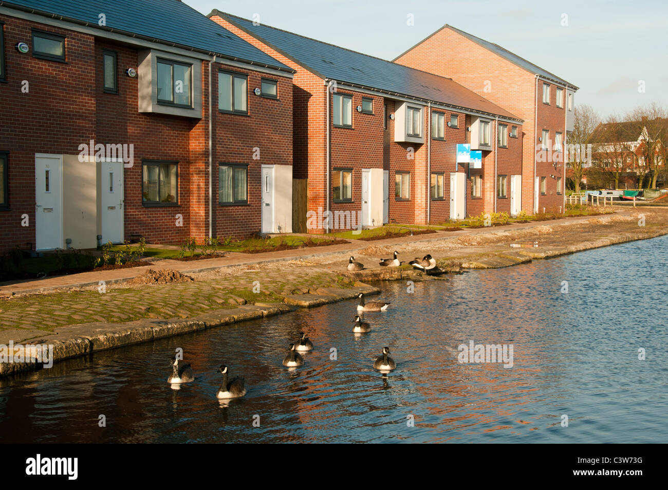 New houses at Droylsden Marina, Tameside, Manchester, England, UK. Stock Photo