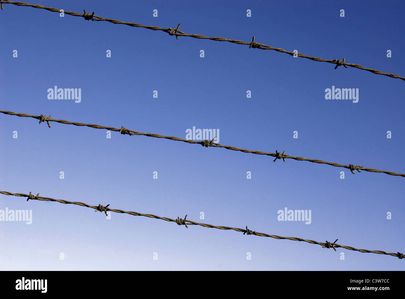 Cut wire fence with dark blue sky background. Stock Photo