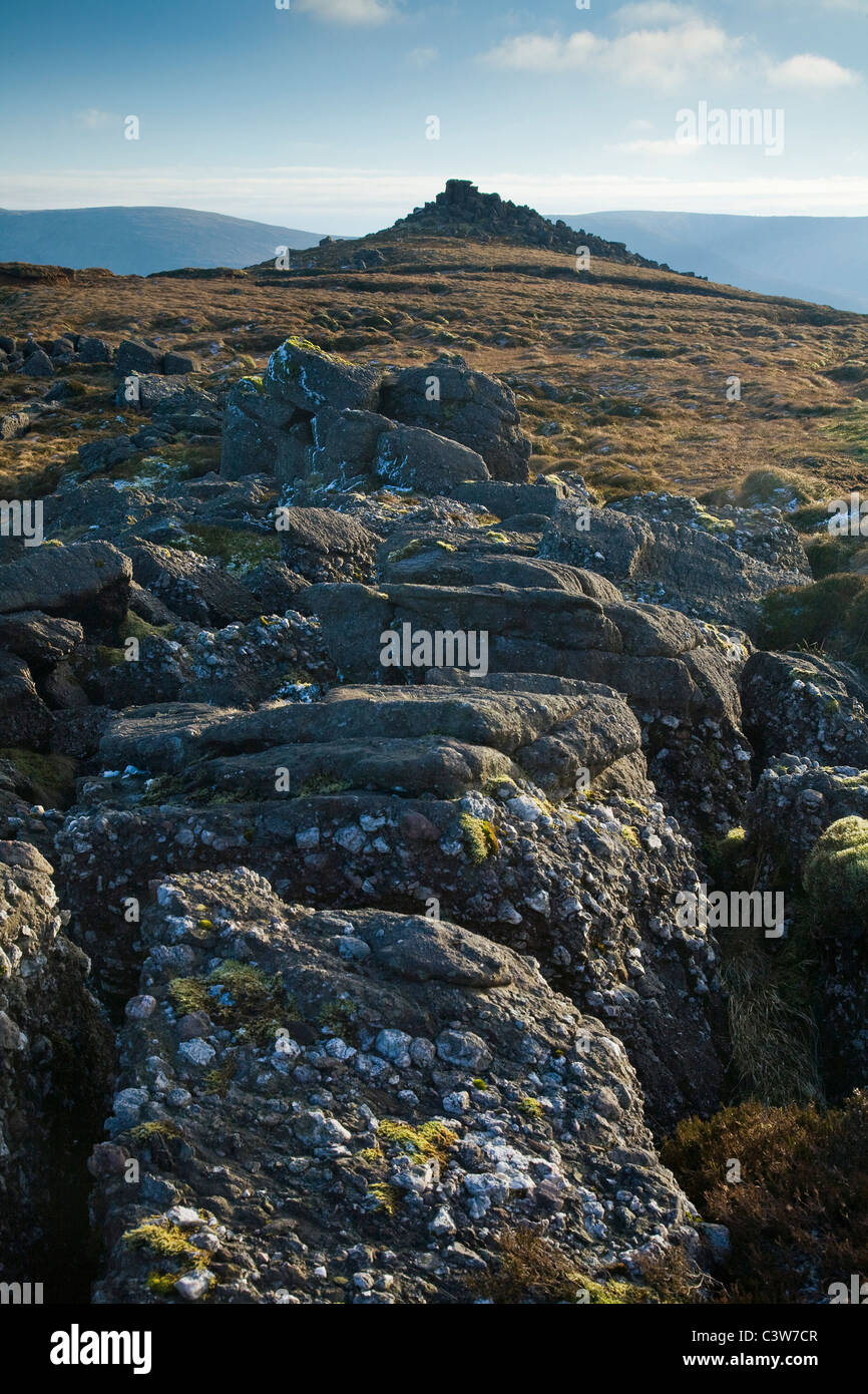 Conglomerate rock near the summit of Knockanaffrin, Knockanaffrin Ridge, Comeragh Mountains, County Waterford, Ireland. Stock Photo
