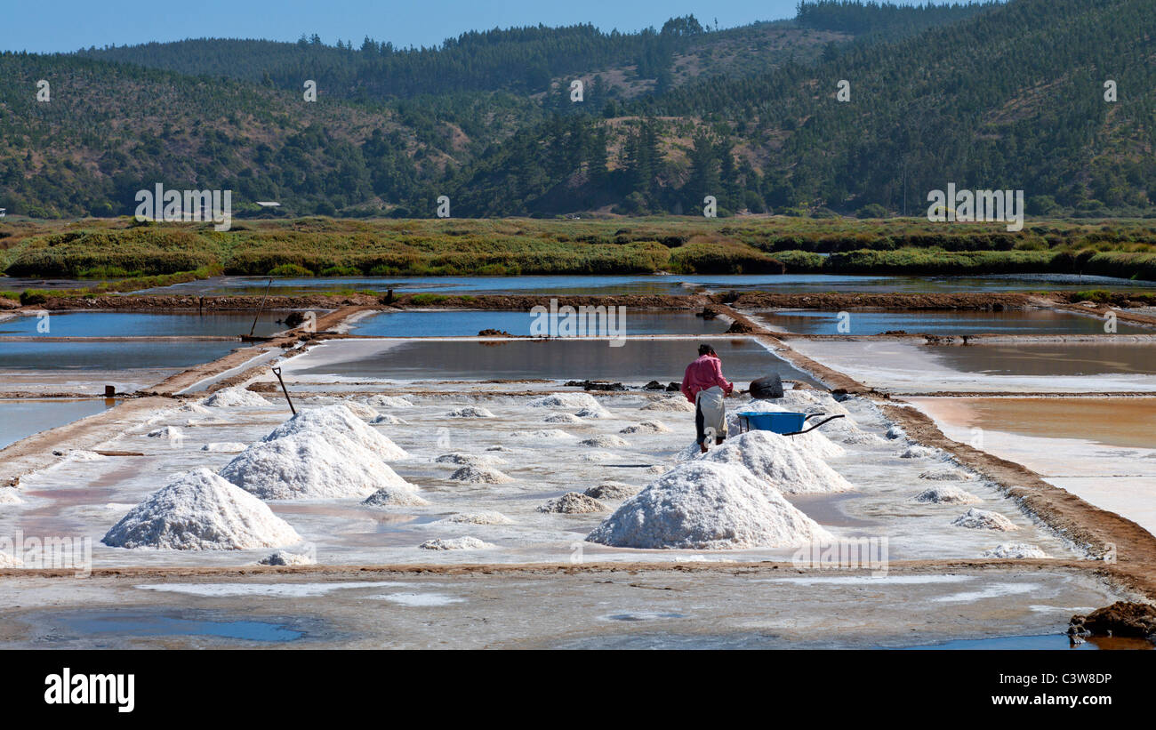 Worker collecting sea salt in salt pans at Cahuil, Colchagua, Chile. Stock Photo