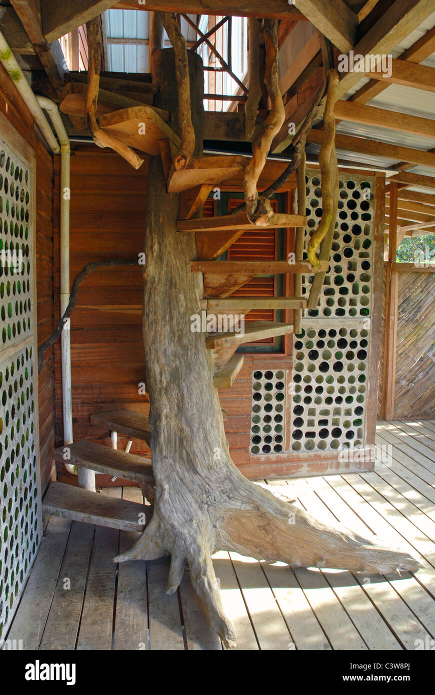 Stairs Around A Tree In A Wooden House Rustic Style Stock Photo