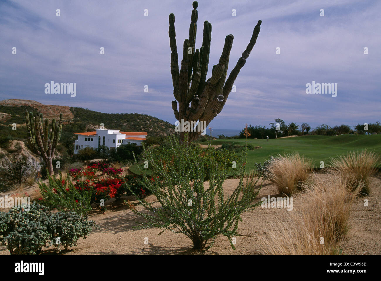 Palmilla golf course hi-res stock photography and images - Alamy