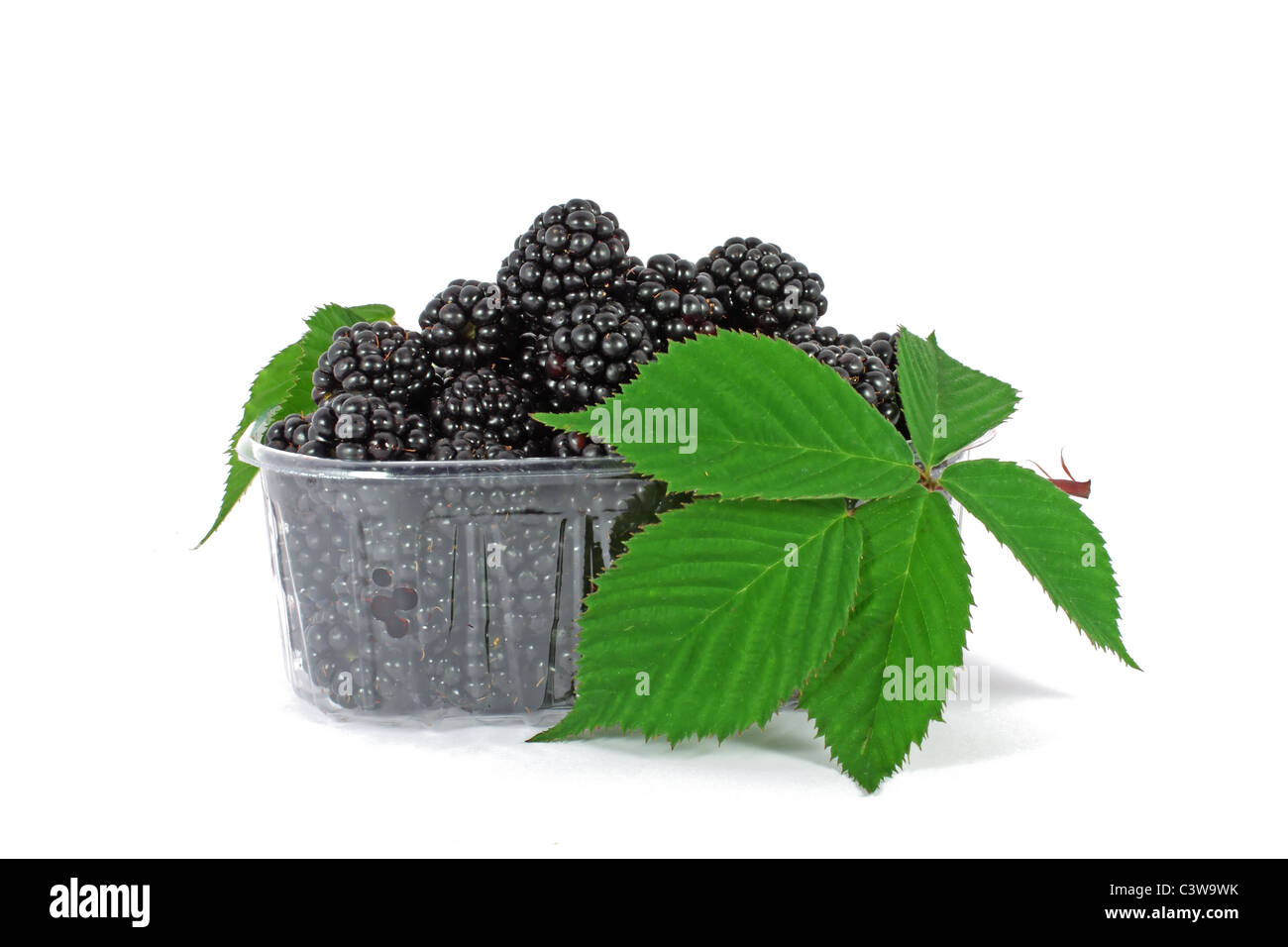 Fresh blackberries in plastic container on white background Stock Photo ...