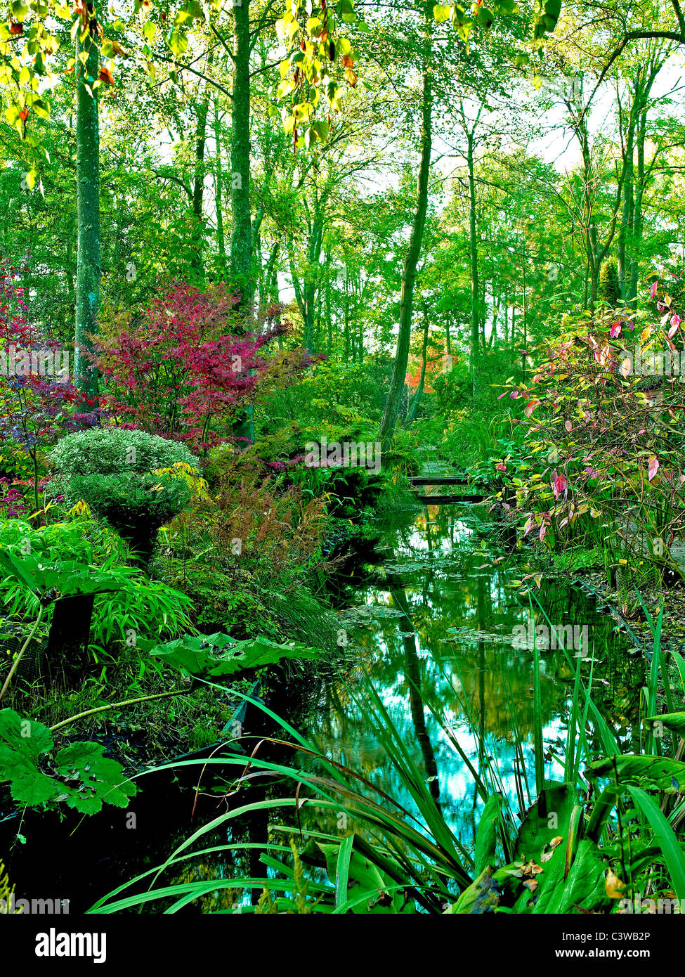 The peaceful water gardens of the Arboretum des Pres des Culands Stock Photo Alamy The peaceful water gardens of the Arboretum des Pres des Culands Stock Photo Alamy