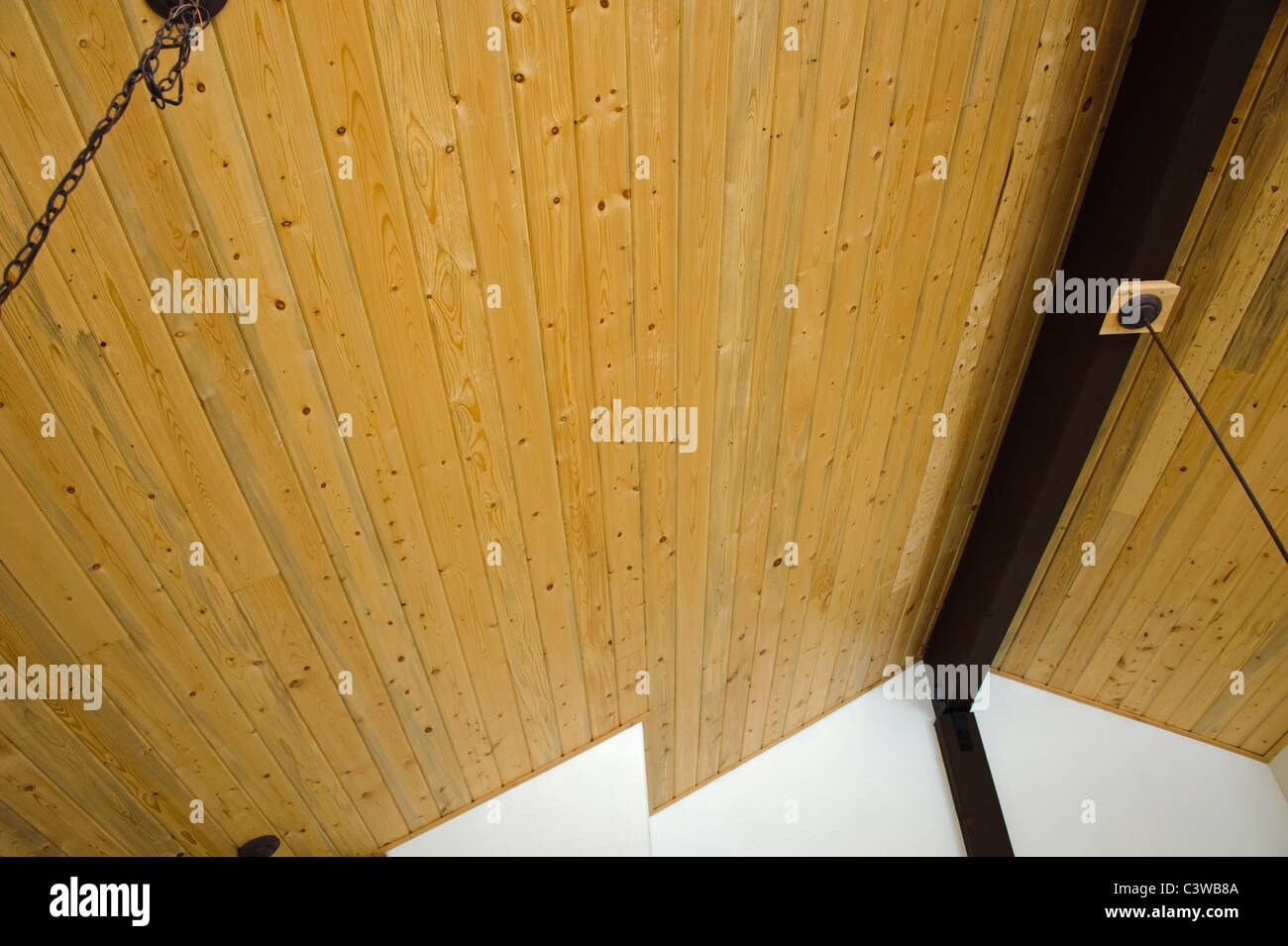 Blue stained pine, or denim pine, is used in a ceiling.  The stain is carried by mountain pine beetle when it invades a tree. Stock Photo