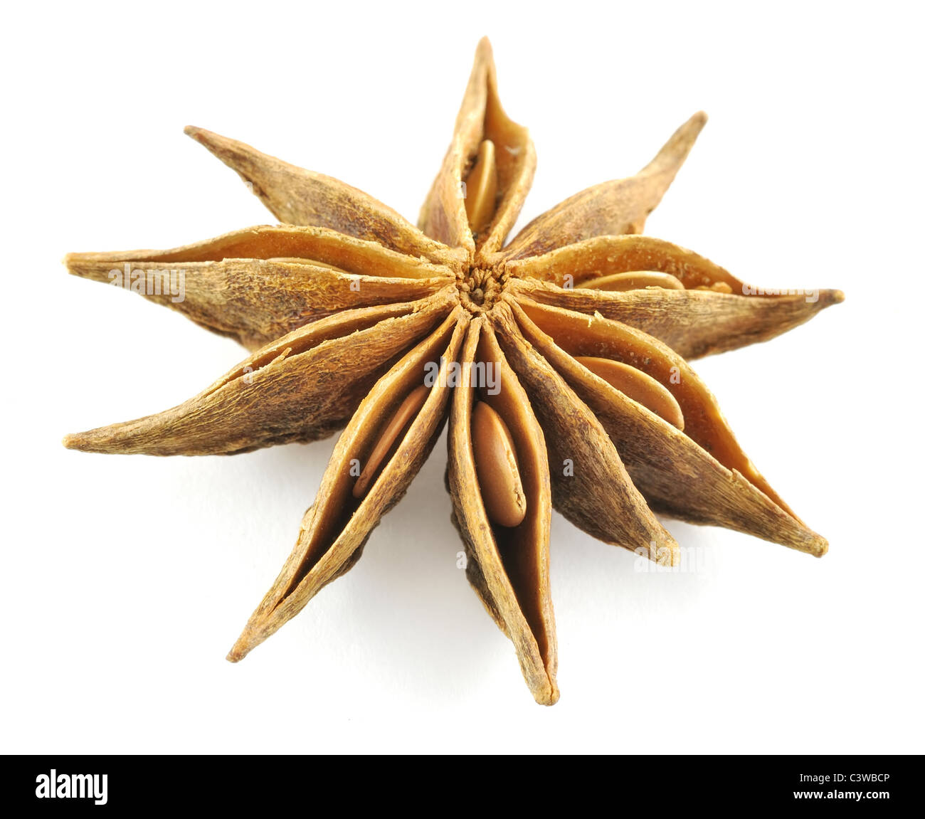 Anise stars (badian) Stock Photo