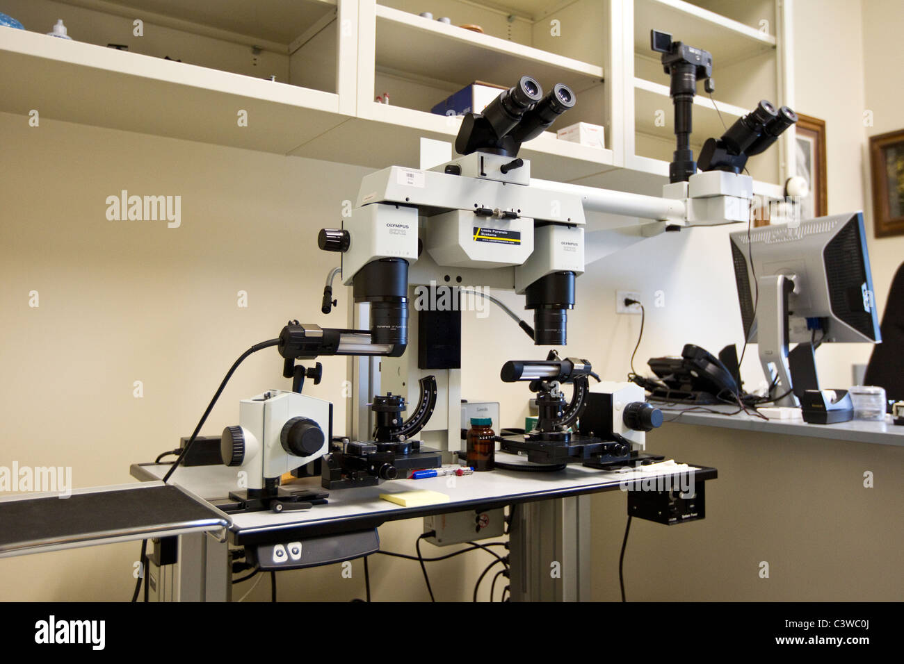 Comparison microscope for conducting forensic  research at the Texas Department of Public Safety crime laboratory in Austin Stock Photo