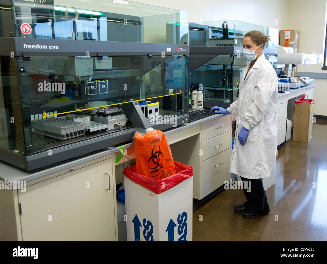 Forensic analyst works in crime laboratory at the Texas Department of Public Safety headquarters in Austin Texas. Stock Photo