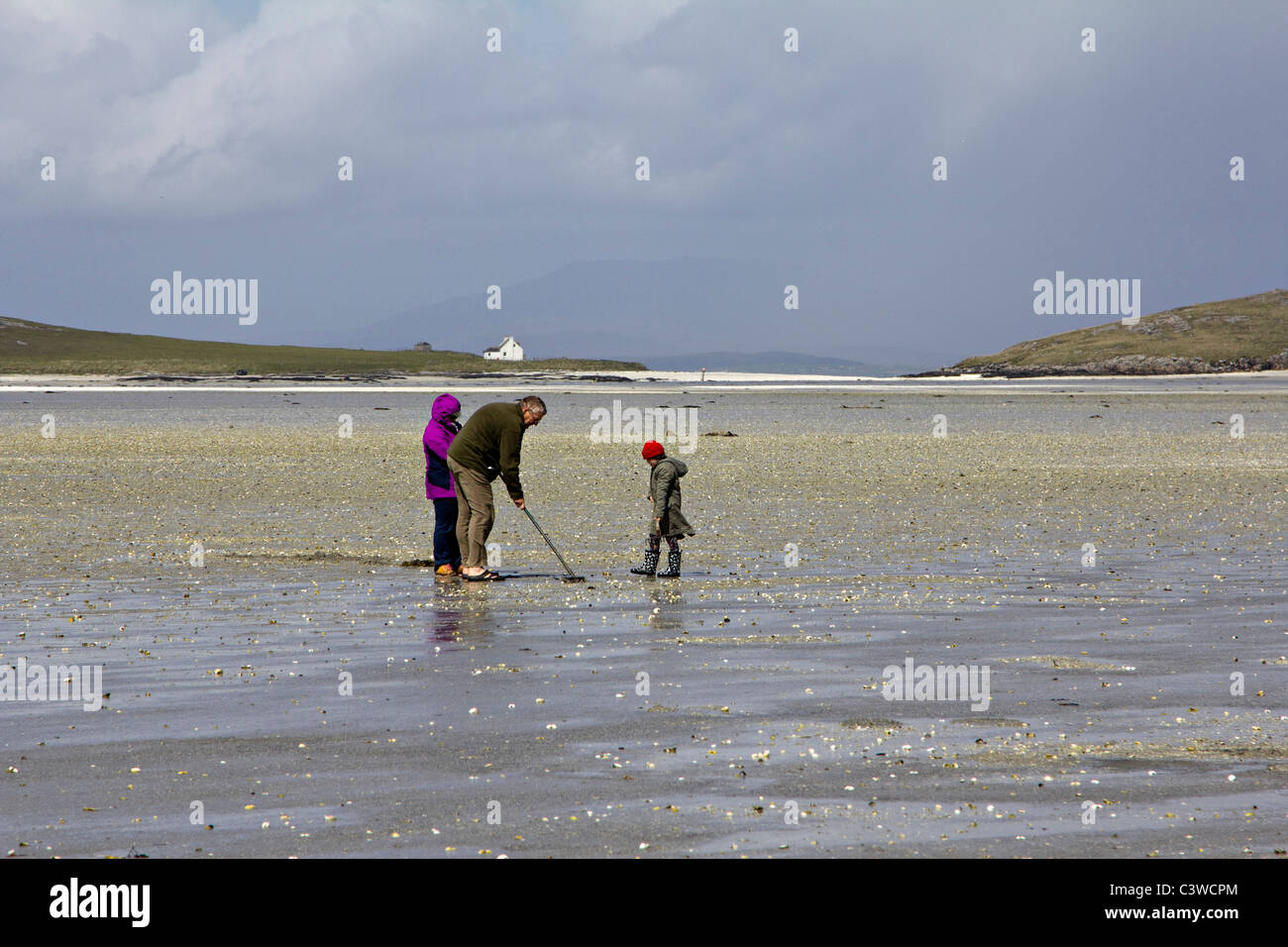 Collecting cockles hires stock photography and images Alamy
