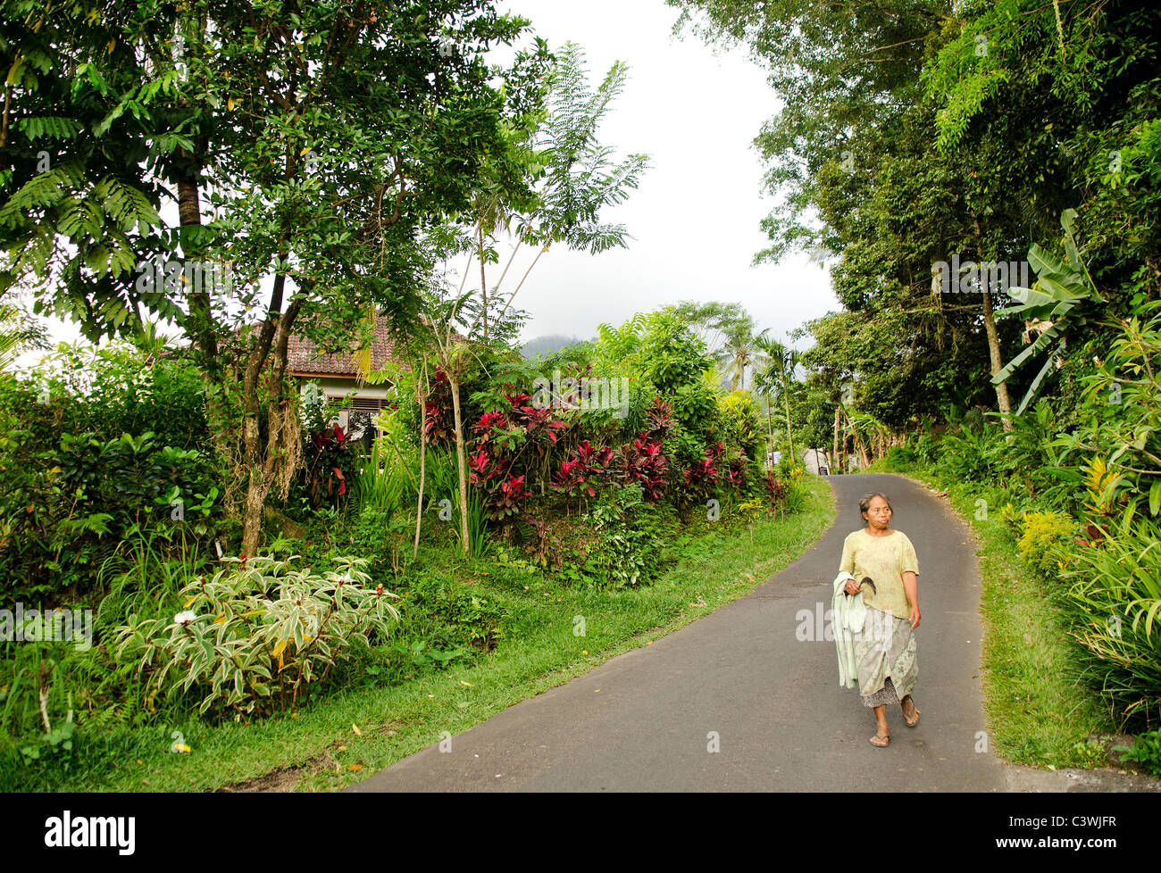 woman in rural bali indonesia Stock Photo