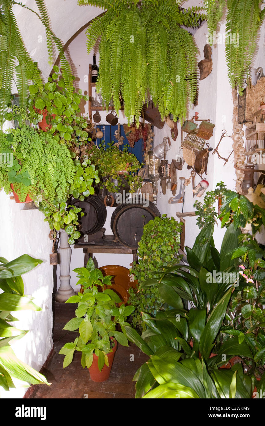 PATIO WITH BEAUTIFUL POT PLANTS IN THE PATIOS FESTIVAL CORDOBA ANDALUCIA SPAIN 2011 Stock Photo