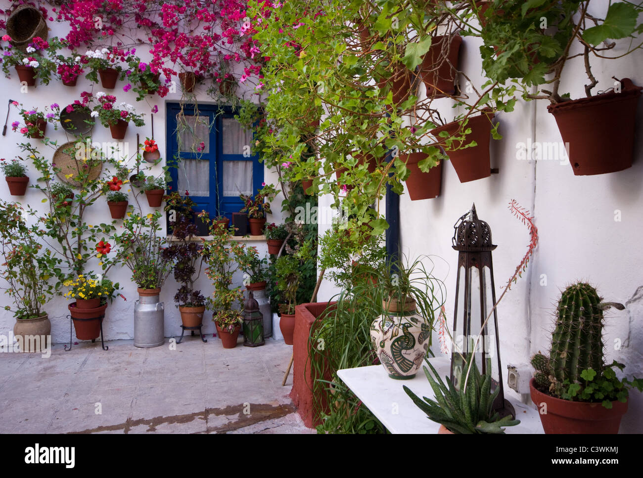 PATIO WITH BEAUTIFUL POT PLANTS IN THE PATIOS FESTIVAL CORDOBA ANDALUCIA SPAIN 2011 Stock Photo
