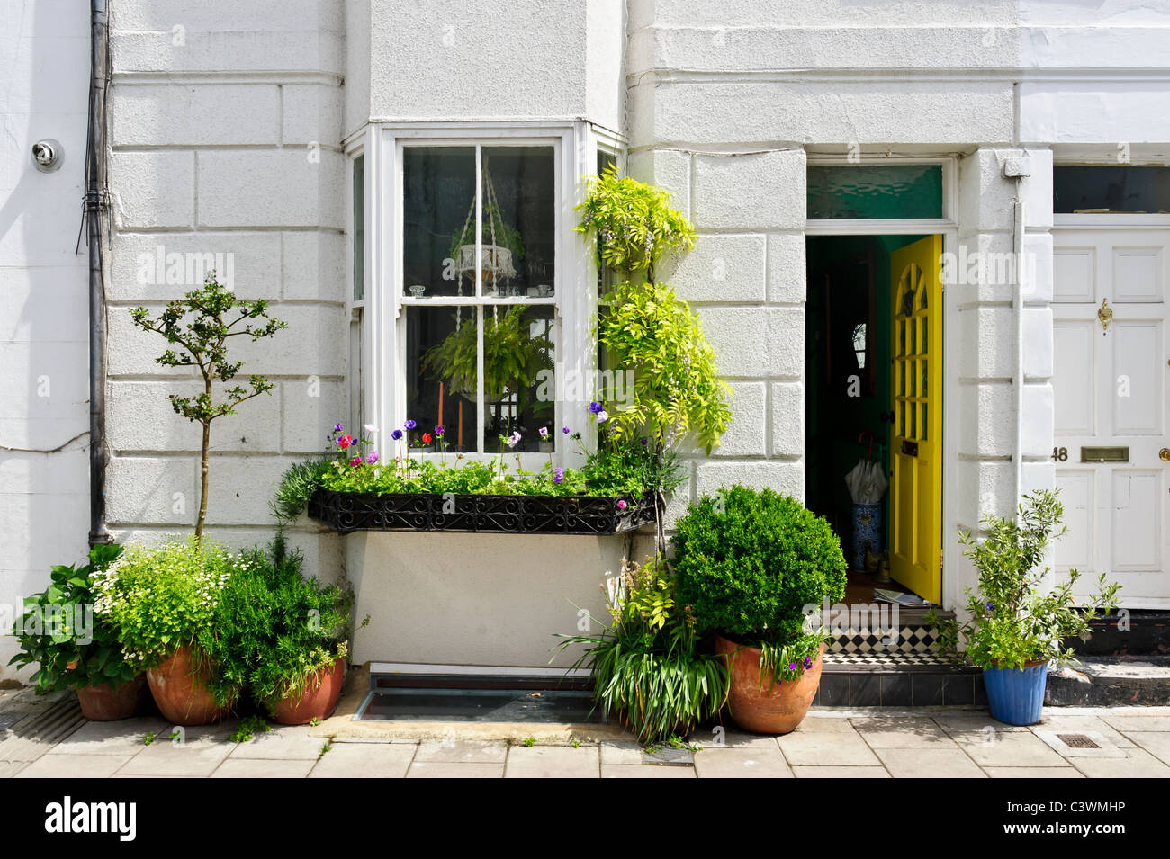 An array of bushes and shrubs in pots outside the front of a house in Brighton Stock Photo