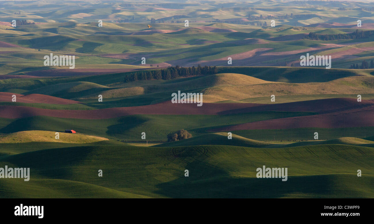 Palouse Fields Viewed From Steptoe Butte and Crop Duster, Eastern Washington Stock Photo