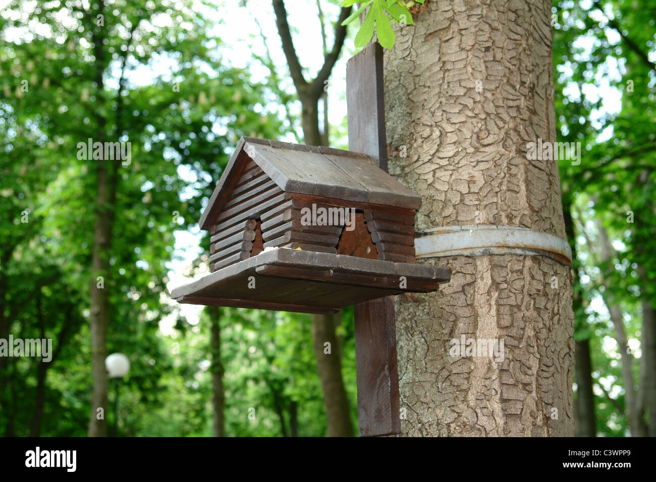 bird house in wood Stock Photo - Alamy