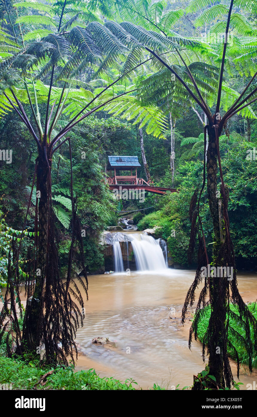 Parit Falls, Cameron Highlands, Malaysia Stock Photo