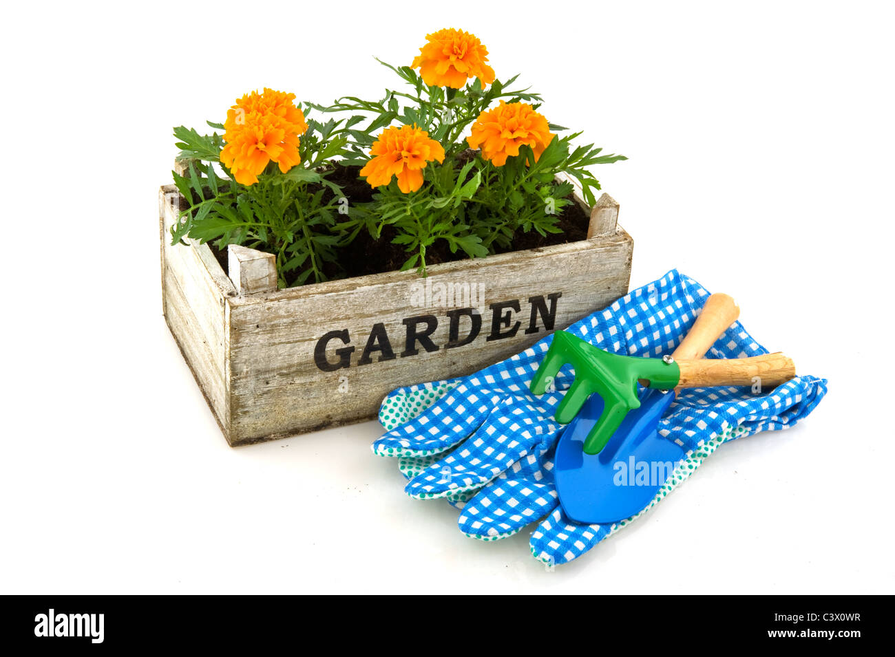 Crate with French Marigolds and work tools for garden Stock Photo