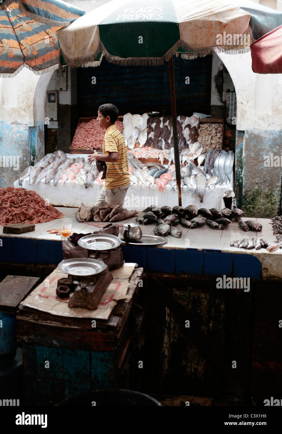 Fish Market in the Medina in Essaouira, Morocco Stock Photo Alamy