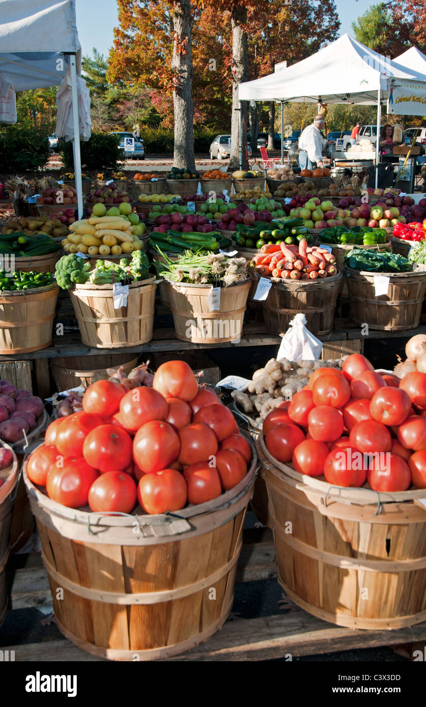 A Farmers market with bushels of tomato's and other fresh vegetables in