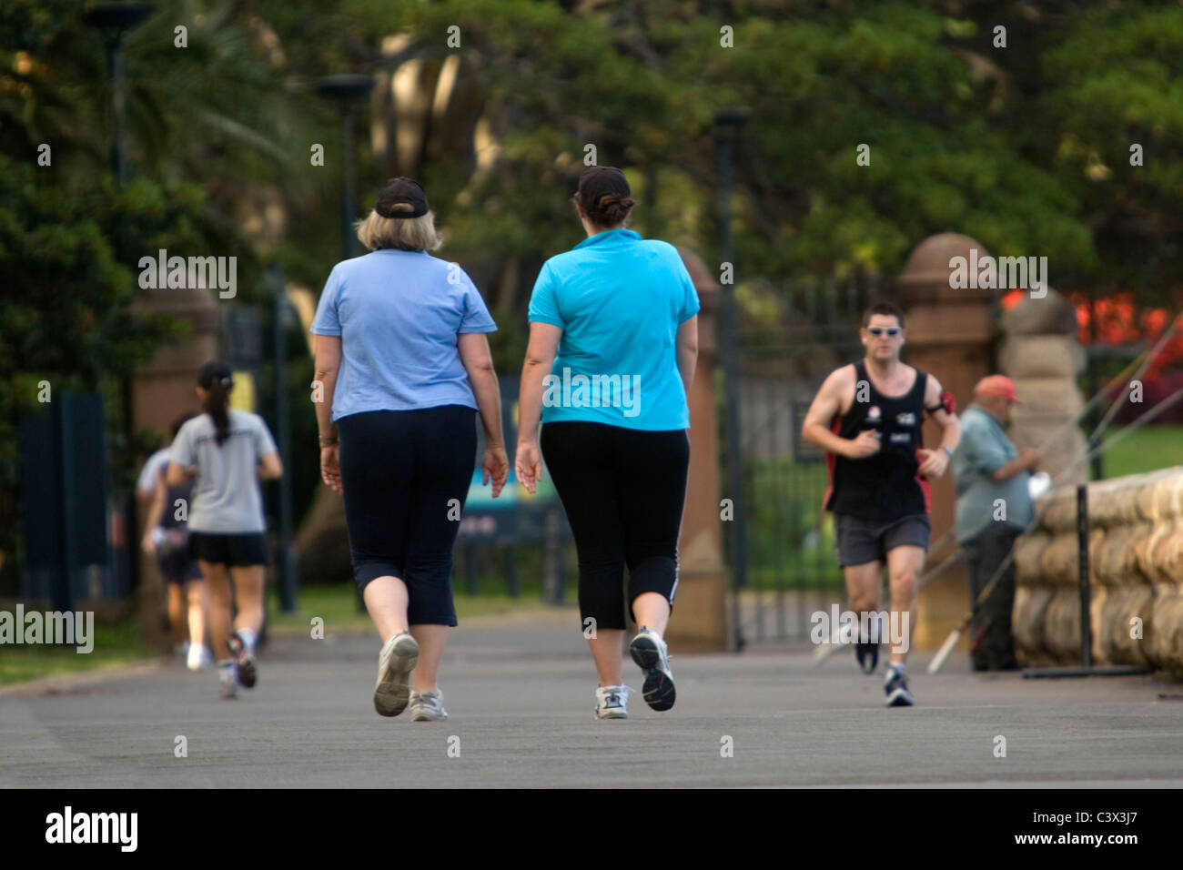Australia. Sydney. Mrs. Macquaries Point, near Royal Botanical Gardens. Men and women are doing morning exercise. Stock Photo