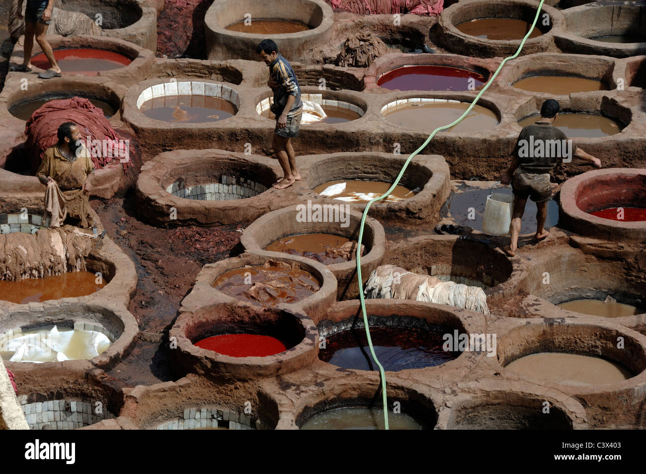Dyers in the Chouwara Tanneries aka Chouara Tannery or Leather Tannery & Dying Vats or Dying Pits or Pools Fez Morocco Stock Photo