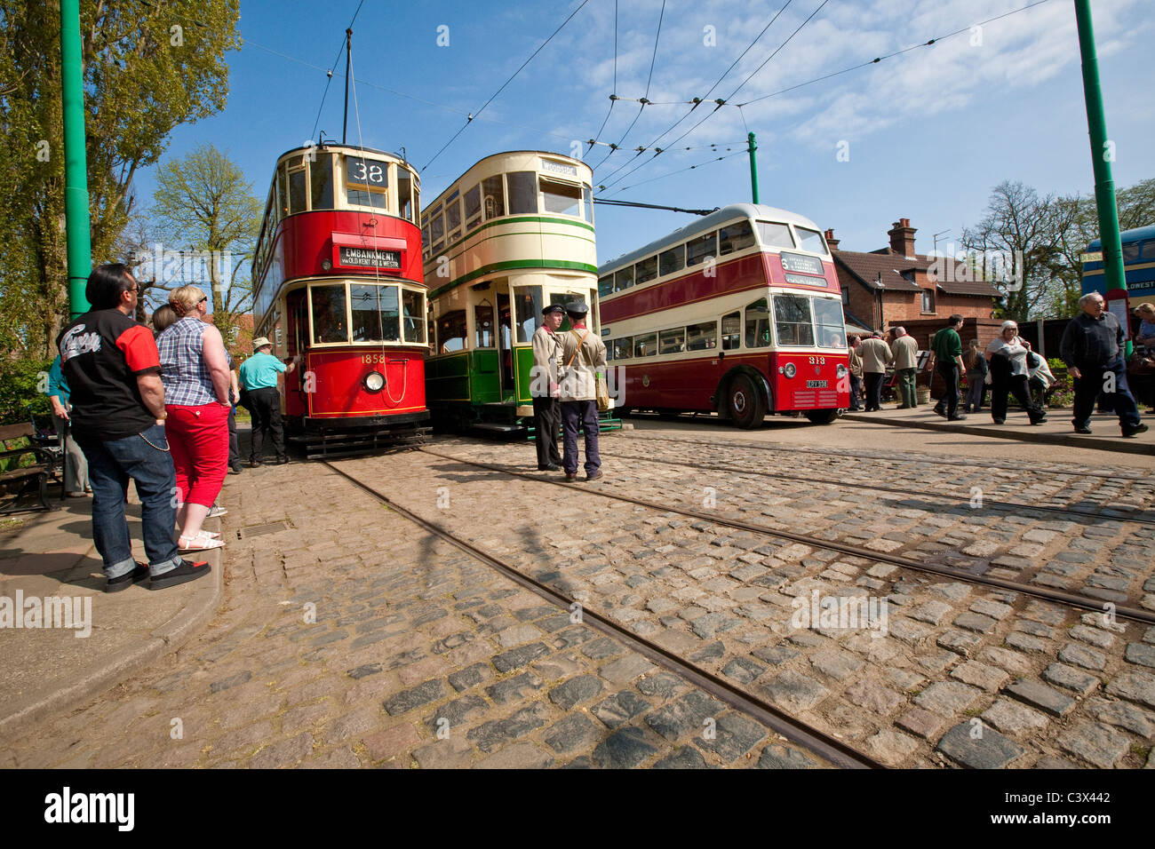 Trams trolley bus Stock Photo Alamy