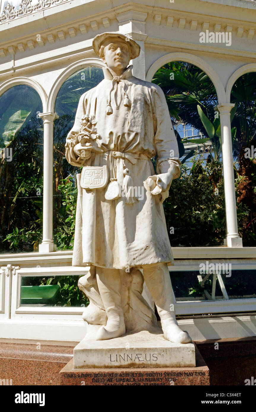 Statue in Sefton Park Liverpool. Linnaeus Stock Photo Alamy