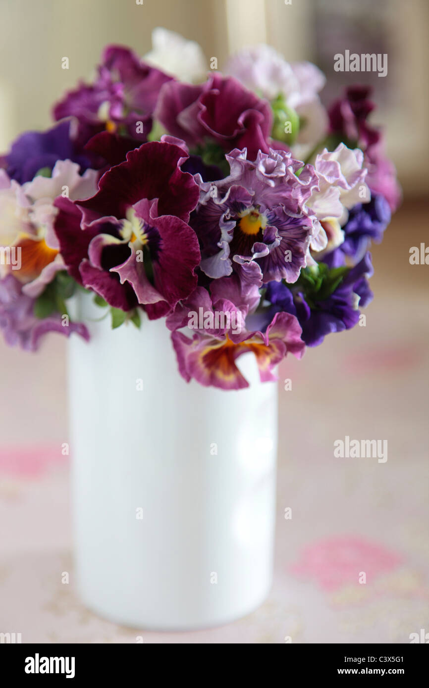 Pansies in a vase Stock Photo