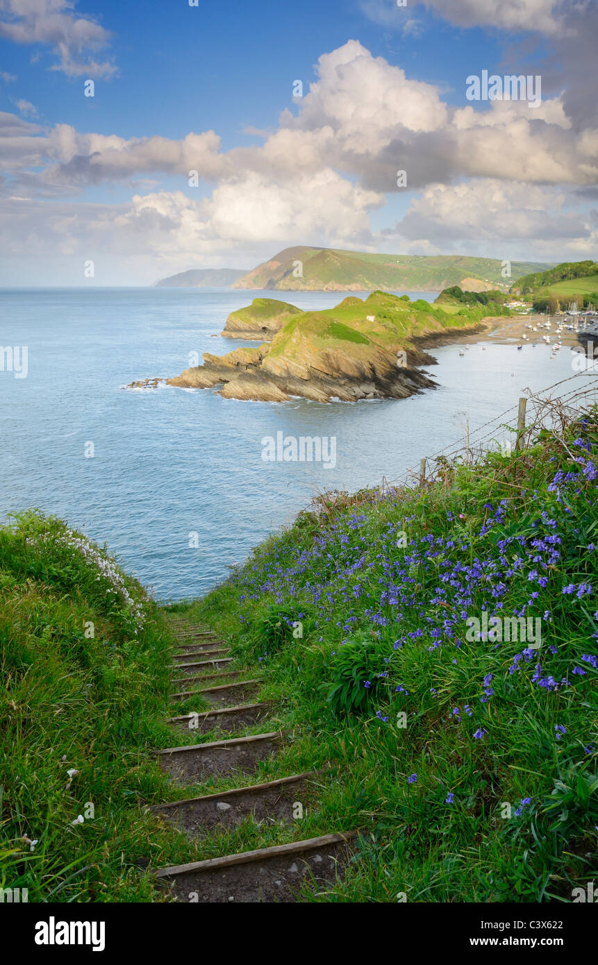 Spring flowers on Widmouth Head overlooking Sextons Burrow and Watermouth near Ilfracombe and Coombe Martin, Devon, England. Stock Photo