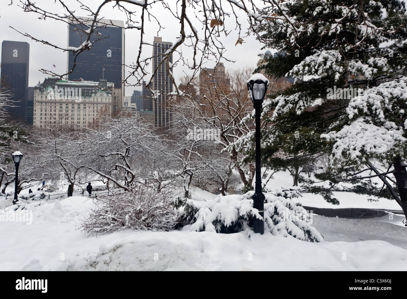 Central Park after snow storm in New York City Stock Photo - Alamy