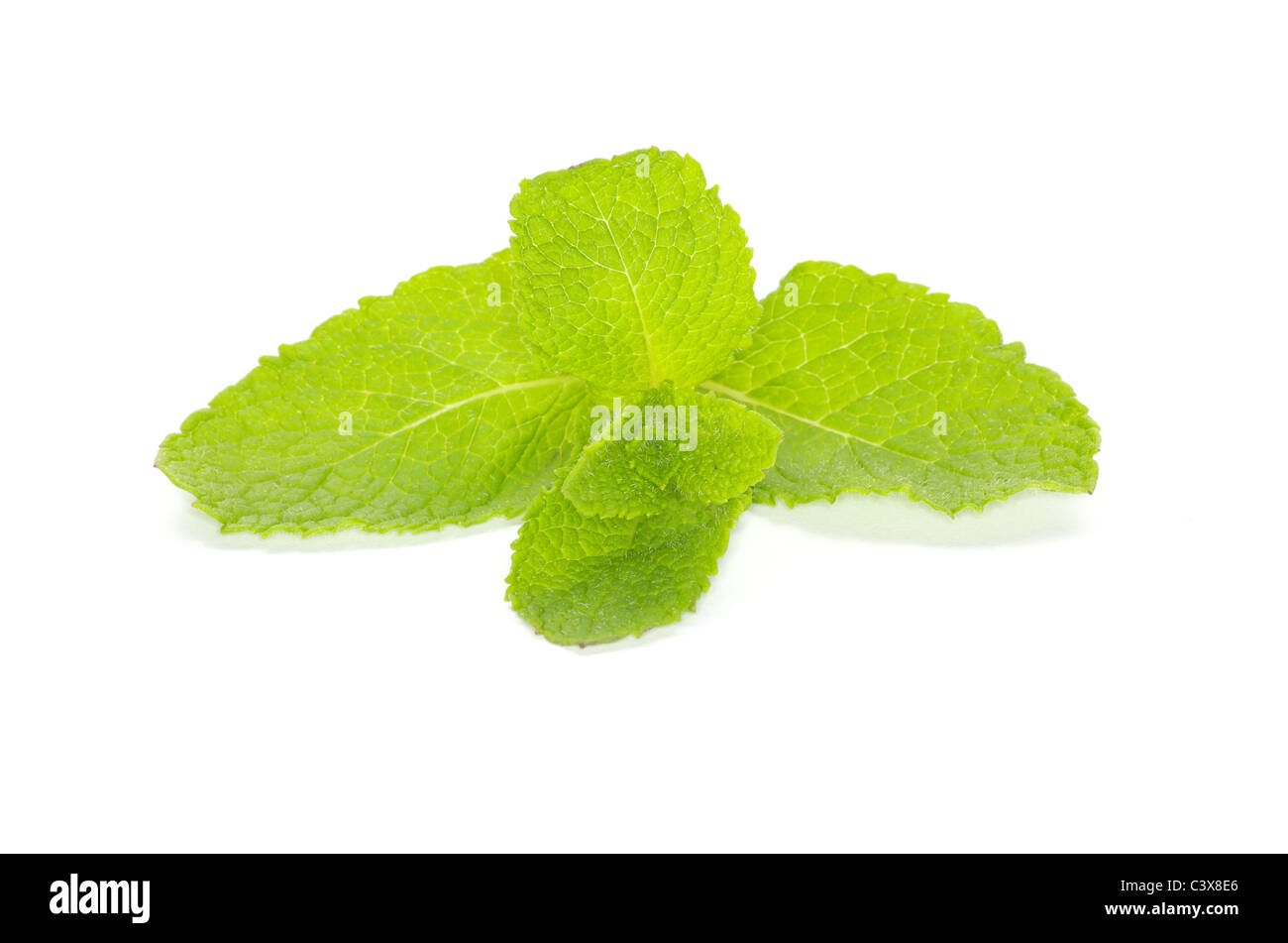 Fresh green mint isolated on white Stock Photo