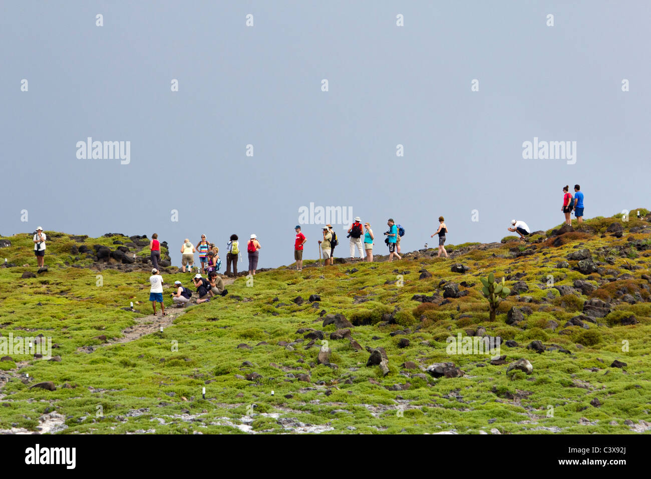 tourists photographing wildlife, South Plaza Island Galapagos Islands, Ecuador Stock Photo