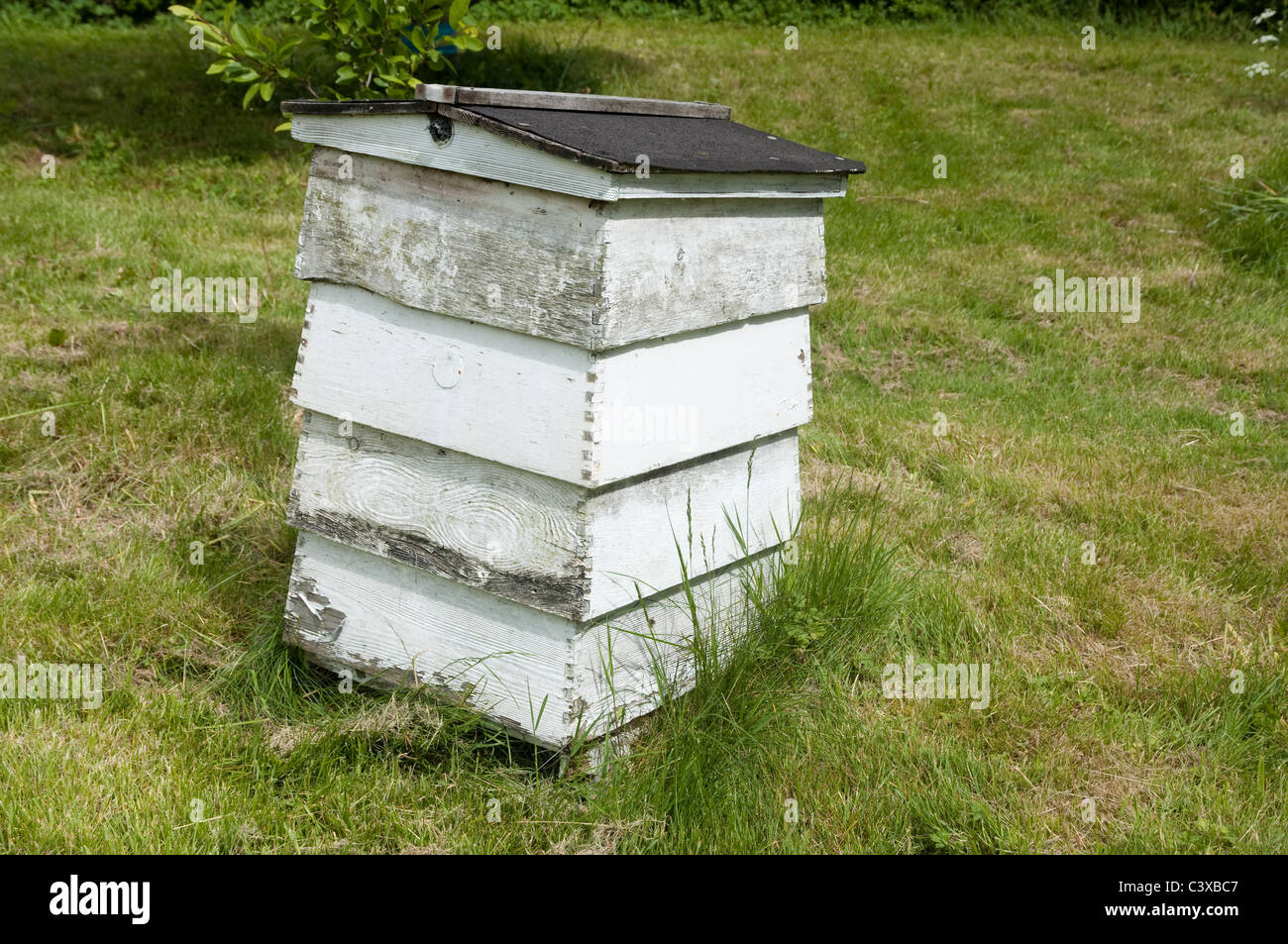 Wooden Bee Hive - traditional shape - white painted and weathered wood. UK Stock Photo