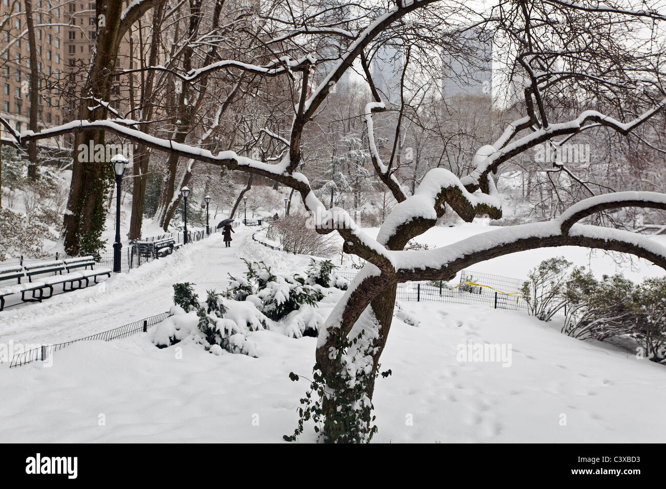 Central Park after snow storm in New York City Stock Photo - Alamy
