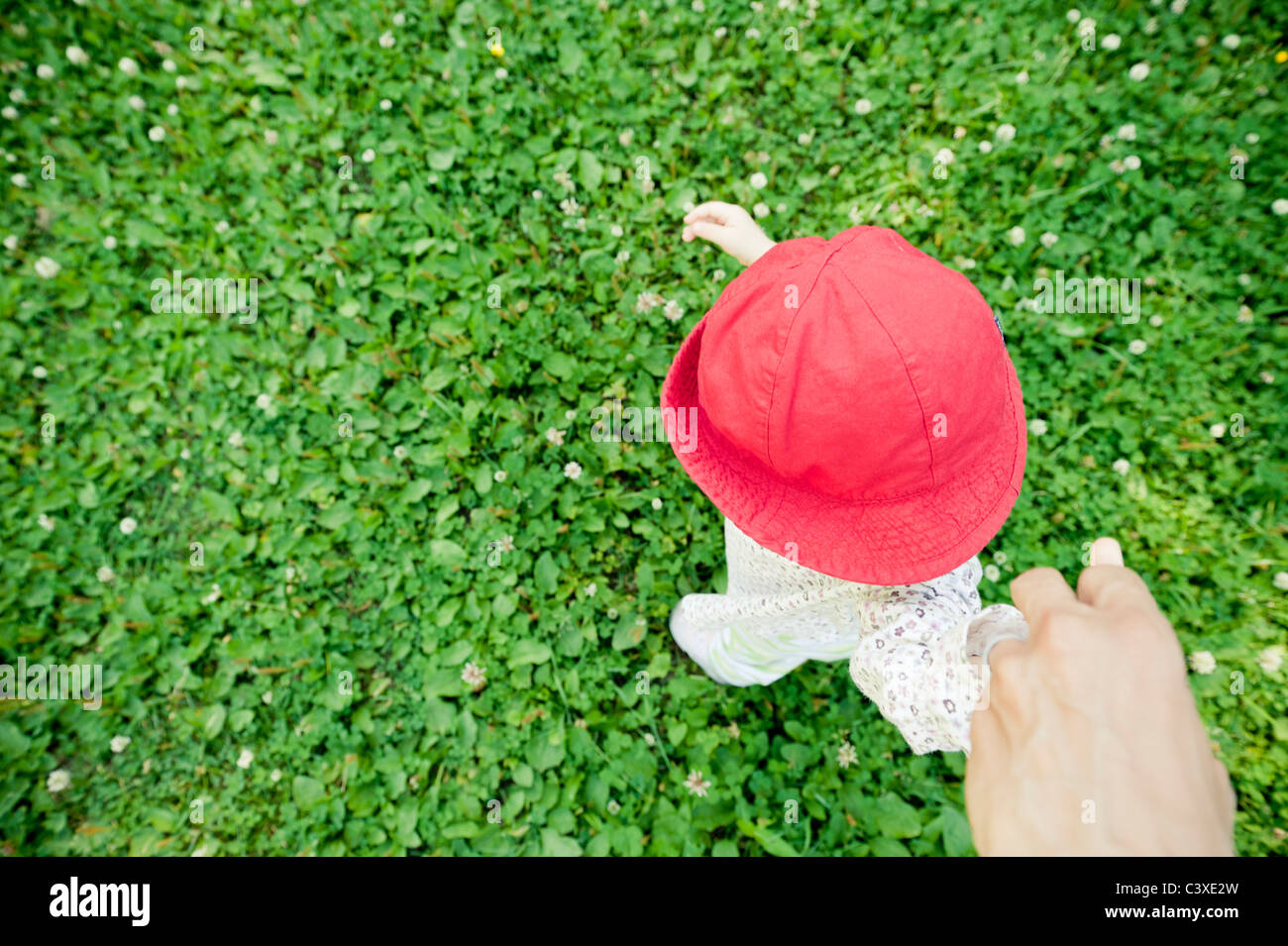 Man holding hand of baby daughter taking her first steps Stock Photo