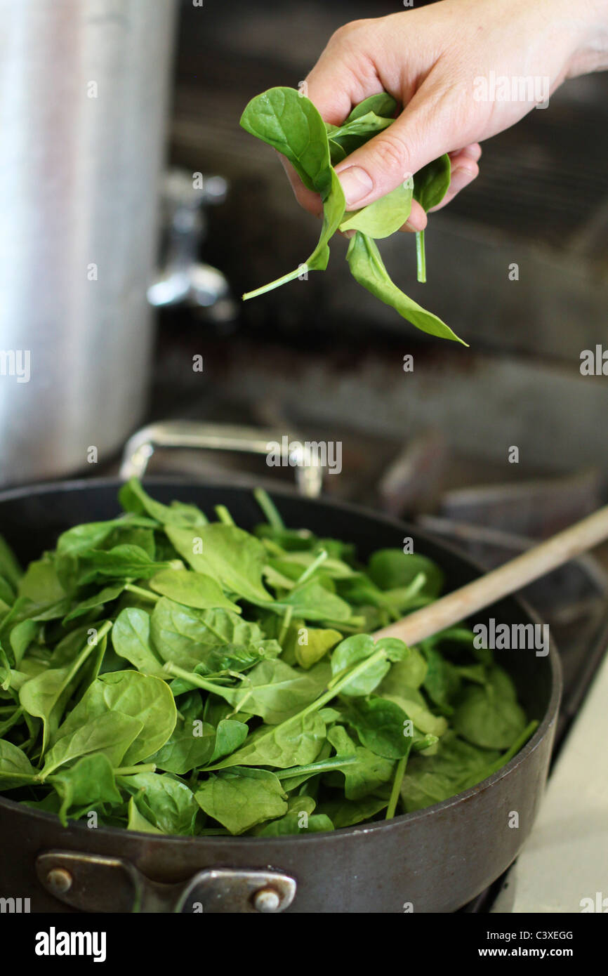 A close up of a woman's hand dropping spinach into a pan to saute. Stock Photo