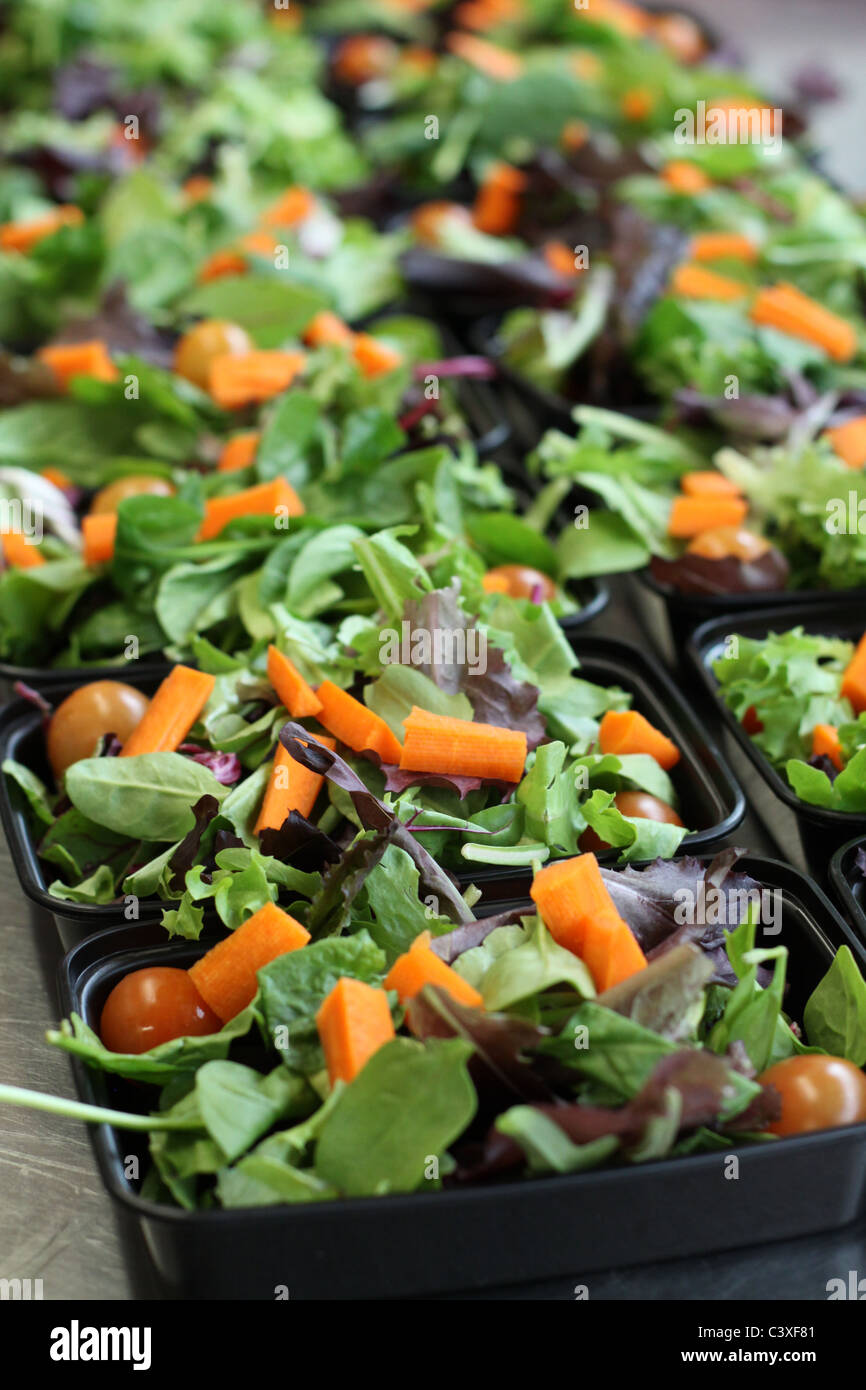 Rows of prepared salads in to-go containers. Stock Photo