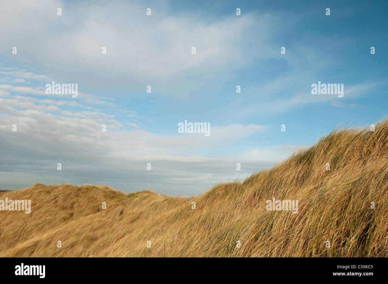 Winterton dunes, Horsey, Norfolk, England, November Stock Photo - Alamy