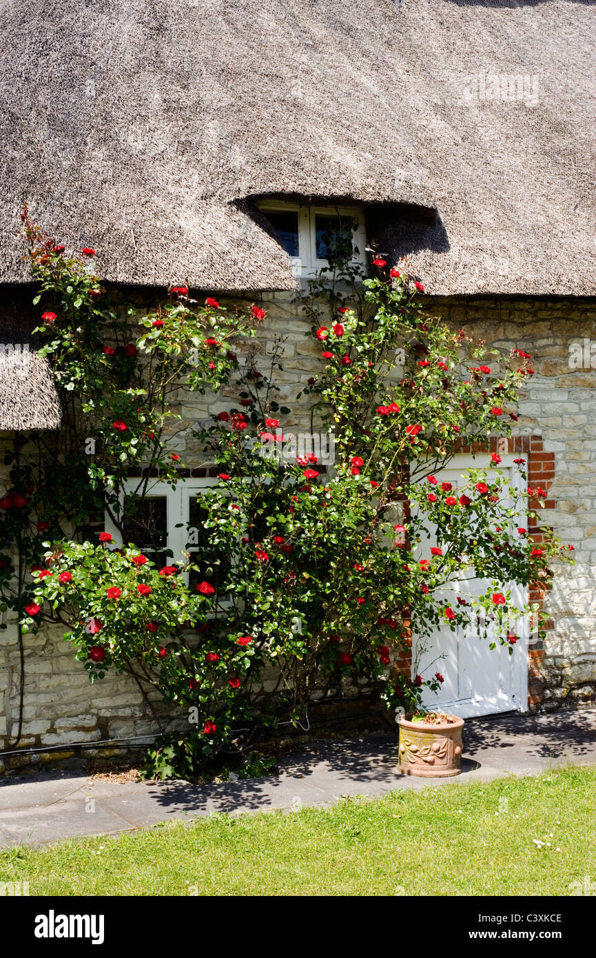 Cottage roses around the door hires stock photography and images Alamy