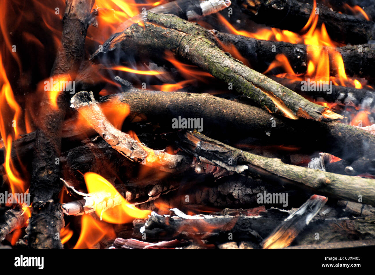 Wood fire burning with highdetail flames Stock Photo Alamy