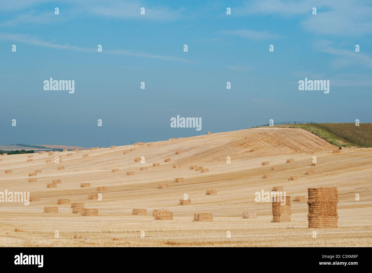 Agricultural landscape with bales of hay, Isle of Sheppey, Kent, England, August Stock Photo