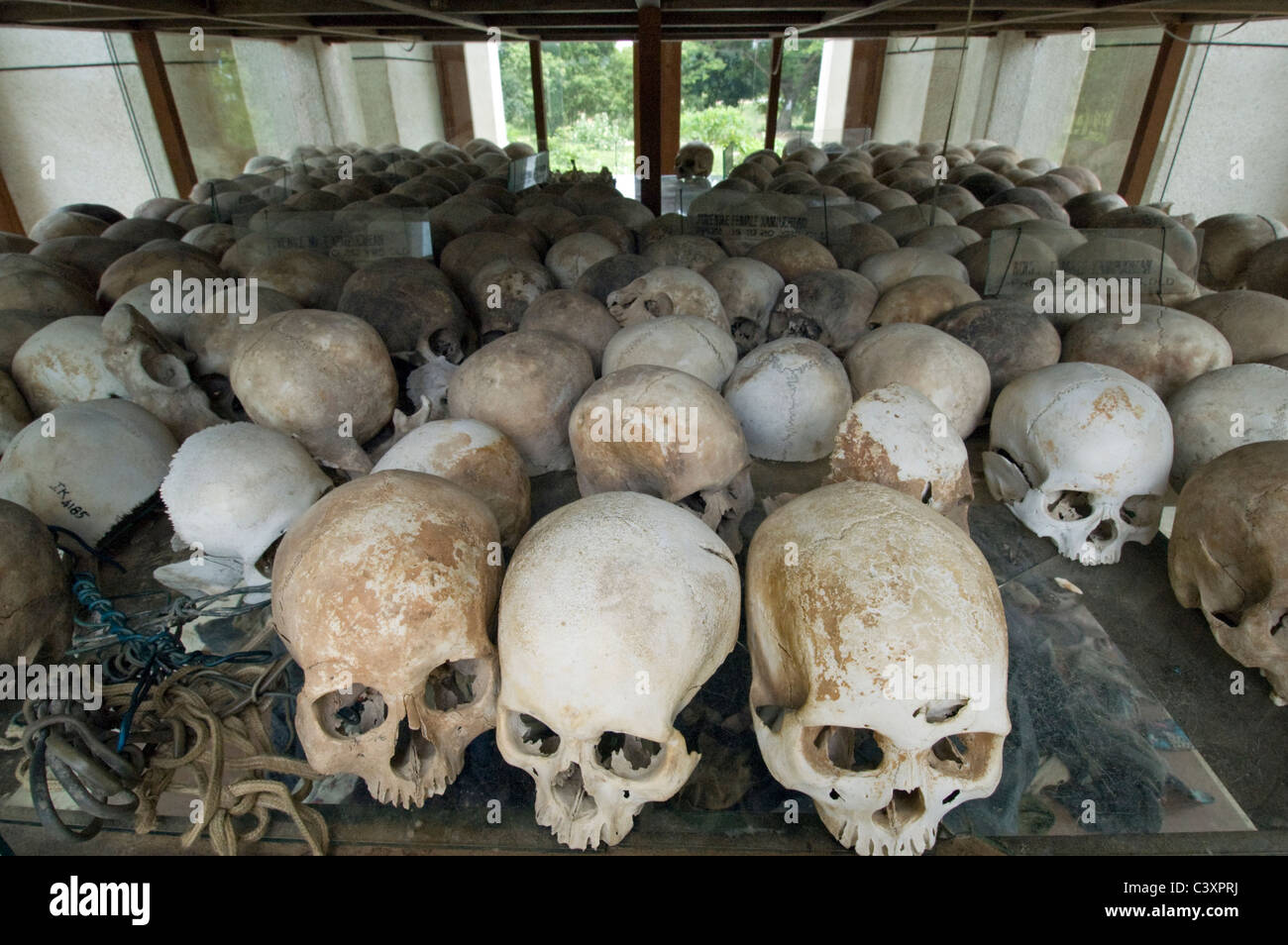 Human skulls in the Memorial Stupa at the Killing Fields of Choeung Ek. Stock Photo