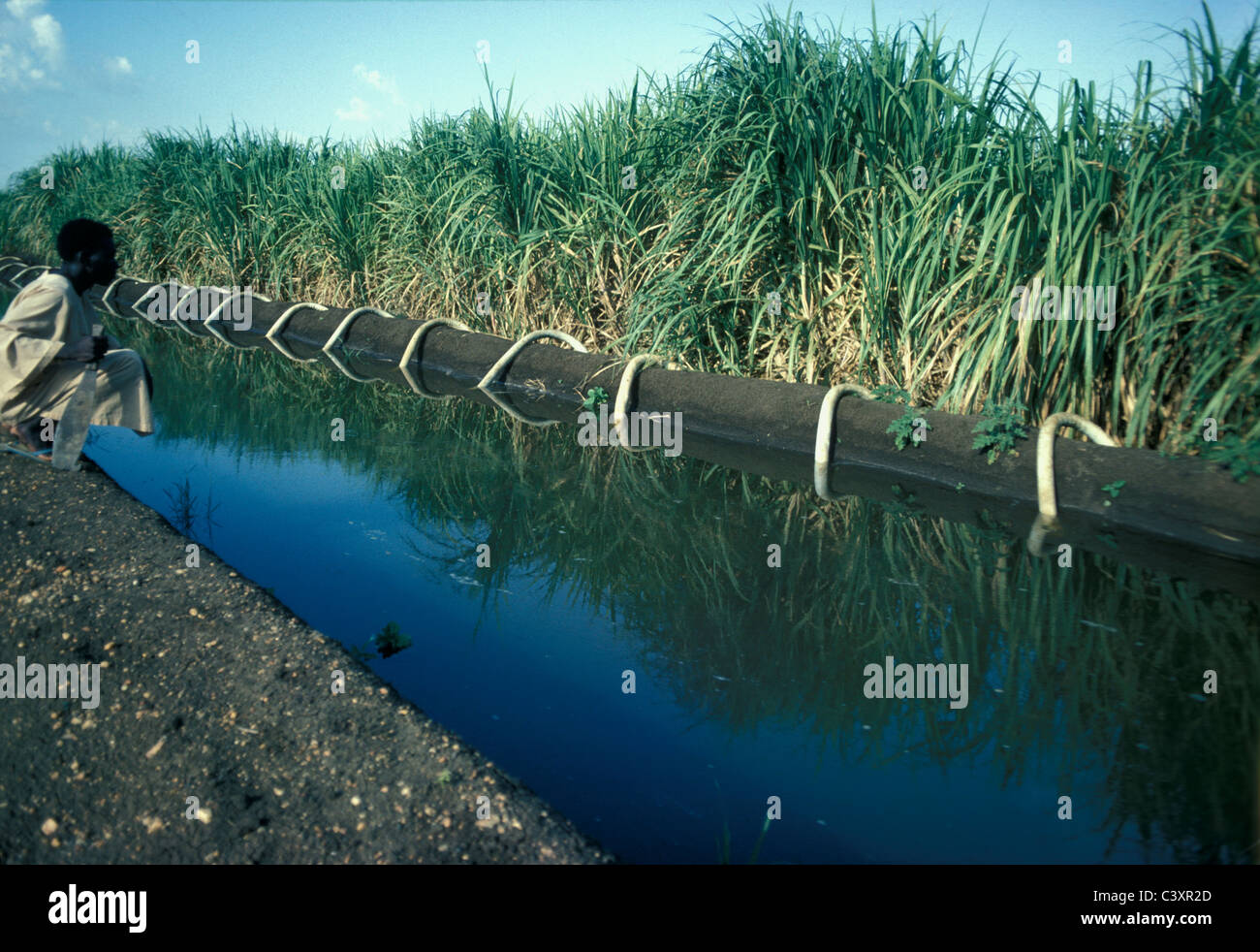 Irrigation from a canal on a big sugarcane estate in North Sudan Stock