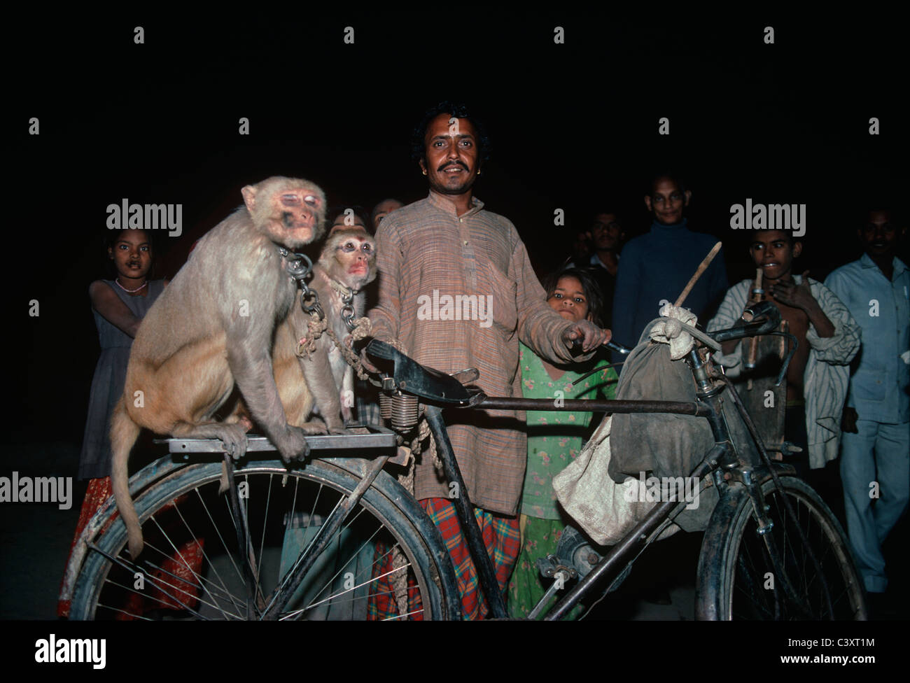 A monkey trainer is about to return home on his bicycle. His two monkeys sit behind the seat. New Delhi, India. Stock Photo