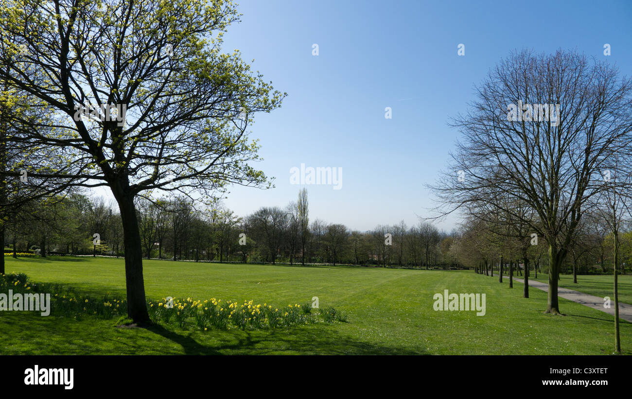 Werneth Park, Oldham in spring Stock Photo - Alamy