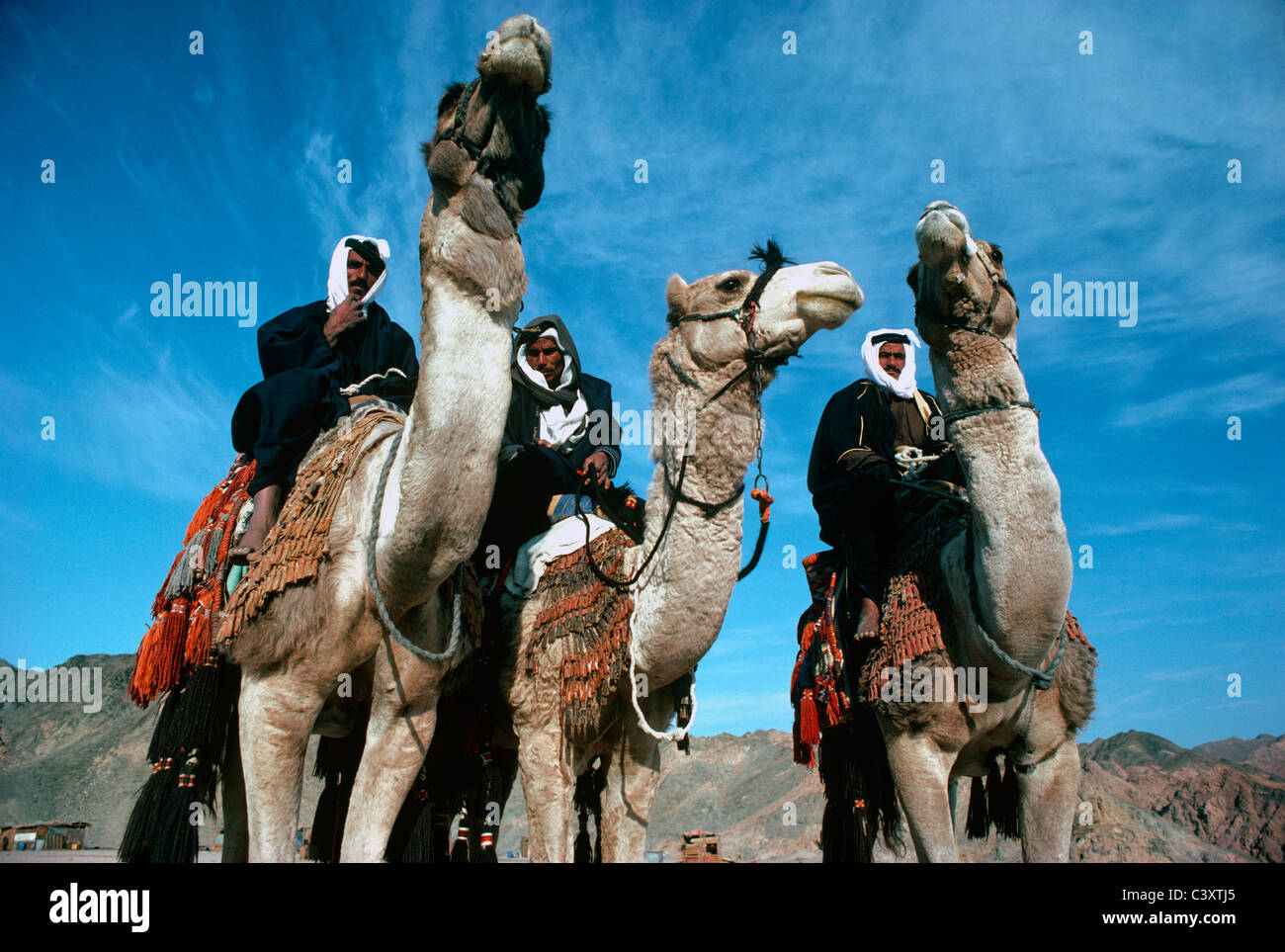 Middle Eastern Camel Racing Middle east men on camels hi-res stock photography and images - Alamy