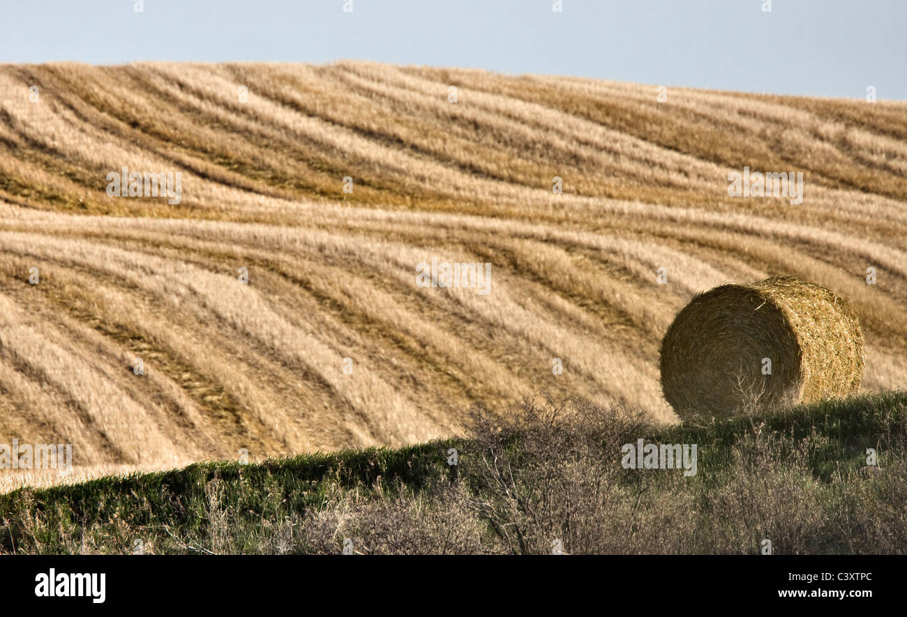 Hay Bale against a newly swathed field Stock Photo