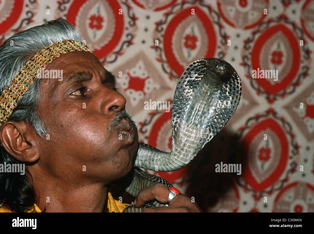 Snake Charmer with Cobra. Jaipur- India Stock Photo