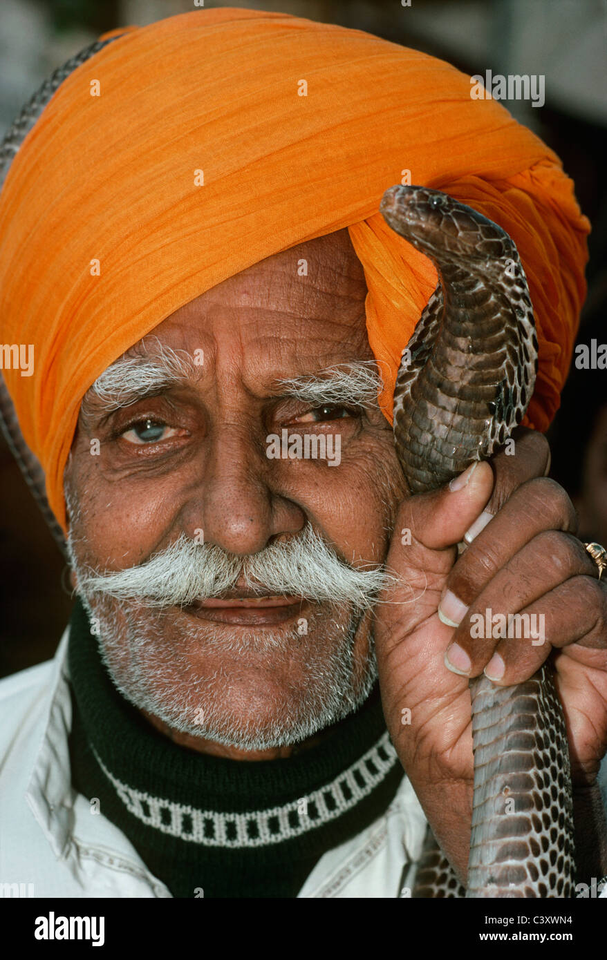 Rajastani Snake Charmer holding a cobra. Jaipur- India Stock Photo