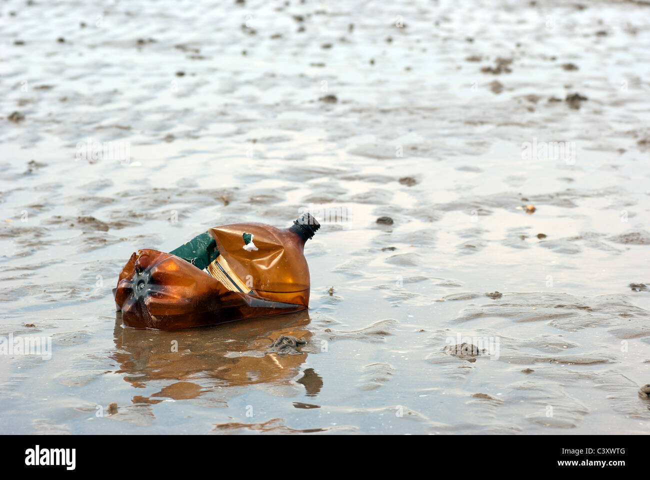Litter on the beach Stock Photo - Alamy